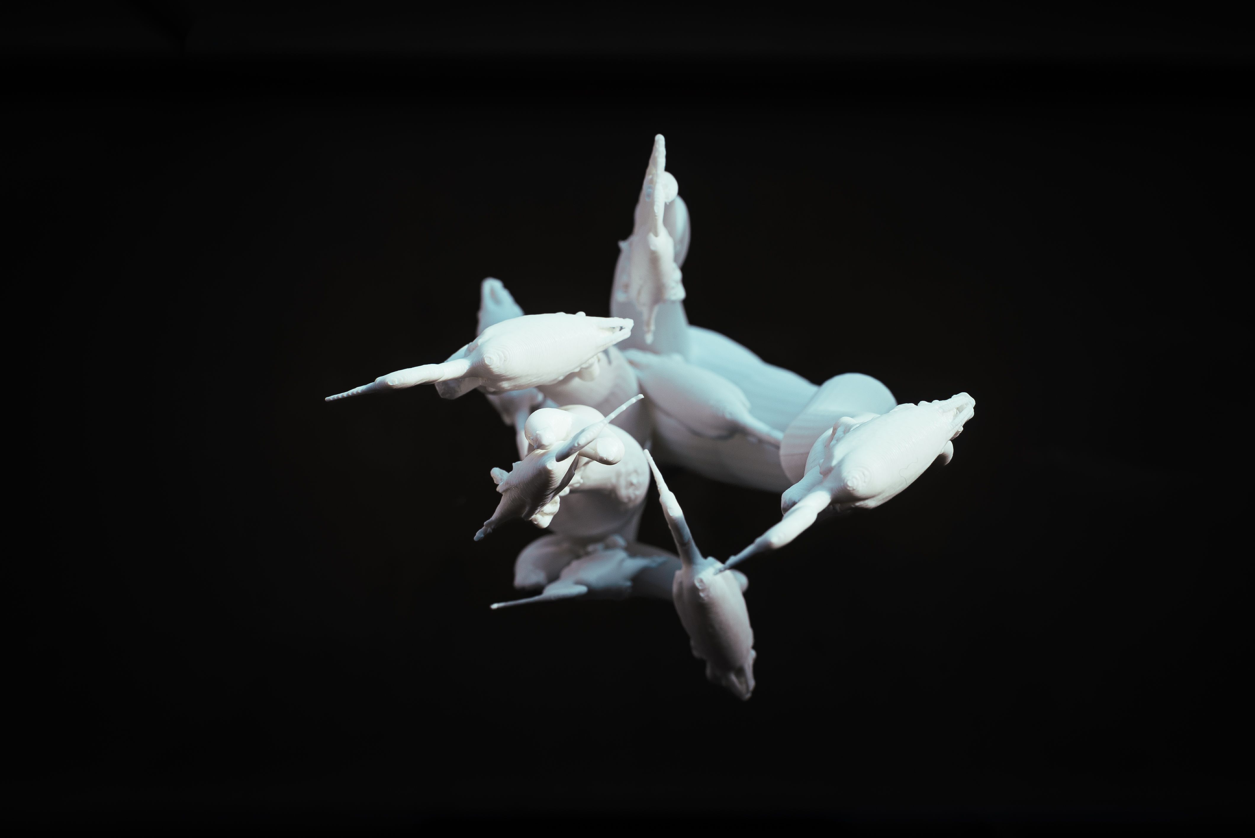 サギのコロニー - 4