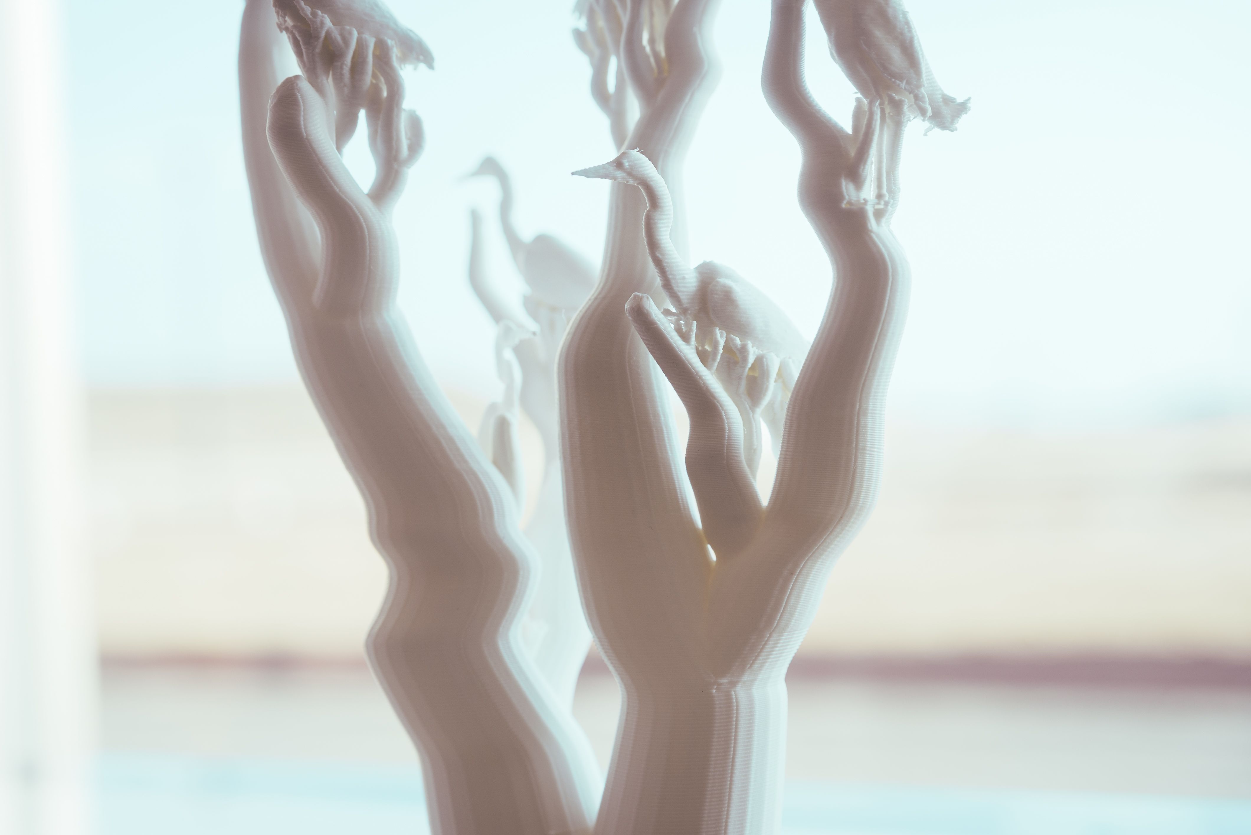 サギのコロニー - 6