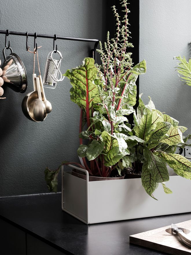 Ferm Living Plant Box Kukkalaatikko, vaaleanharmaa