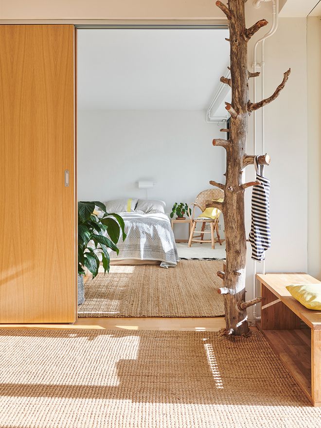 A driftwood used as a coat rack indoors