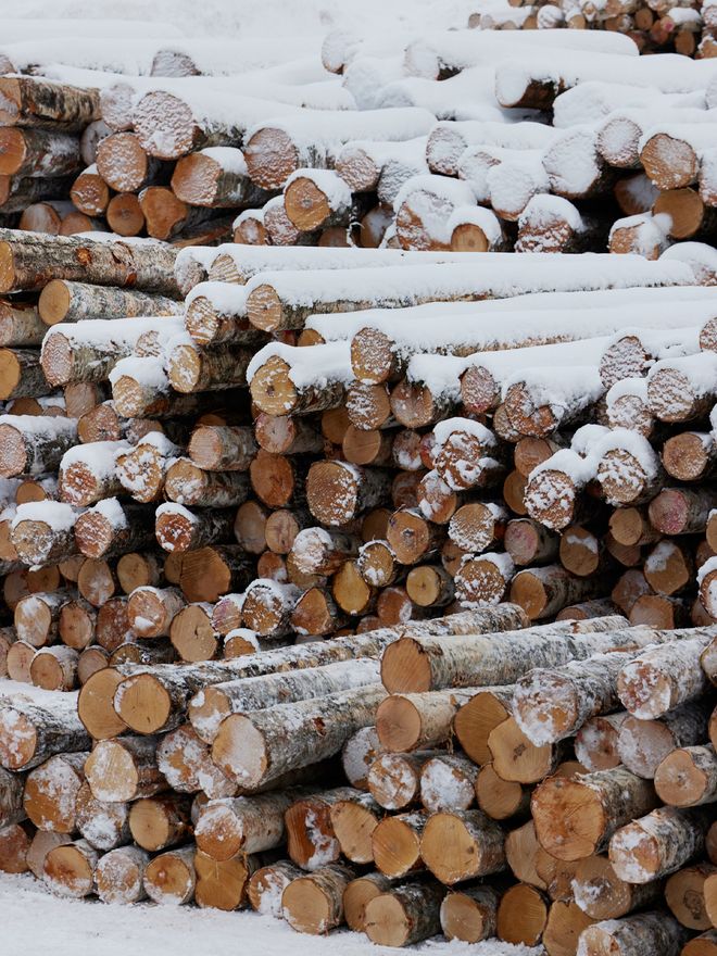 Felled birchwood at the Artek a-factory
