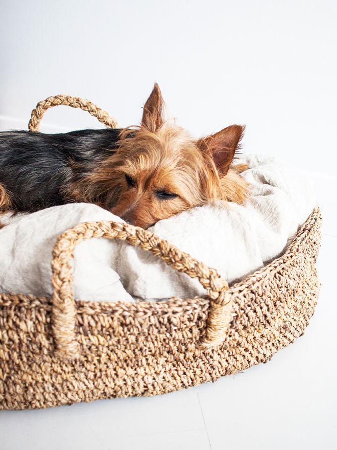 Tikau Doggy basket