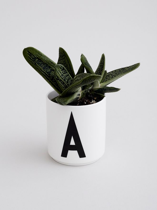 Design Letters AJ porcelain cup
