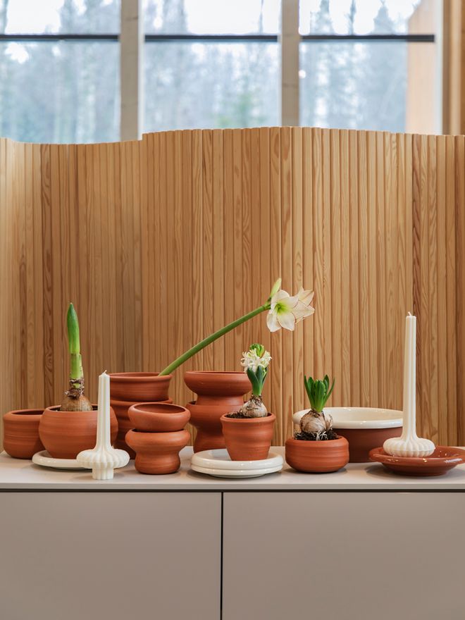 Lasting beauty for home and holiday gifting – Showroom’s seasonal favorites