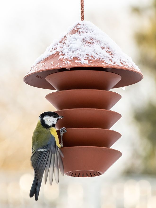 Bird feeder