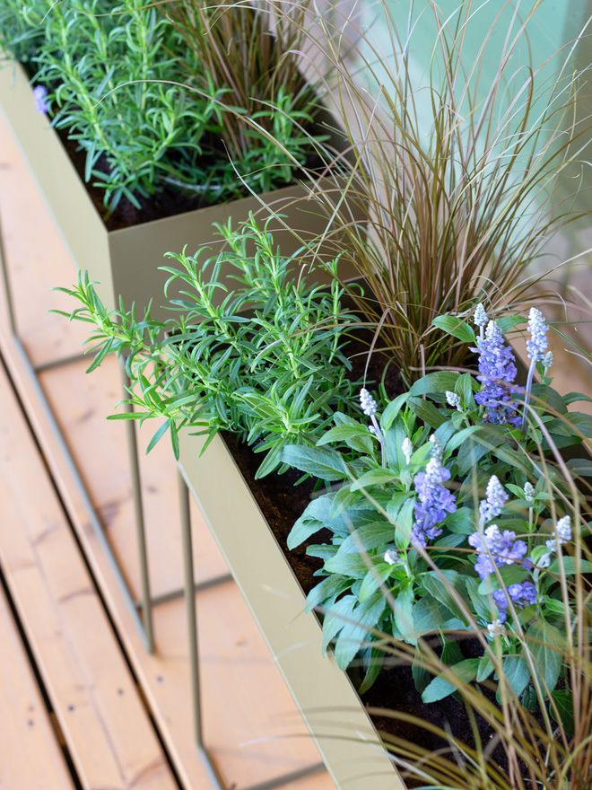 ferm LIVING Plant Box, olive