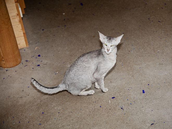 A concrete floor