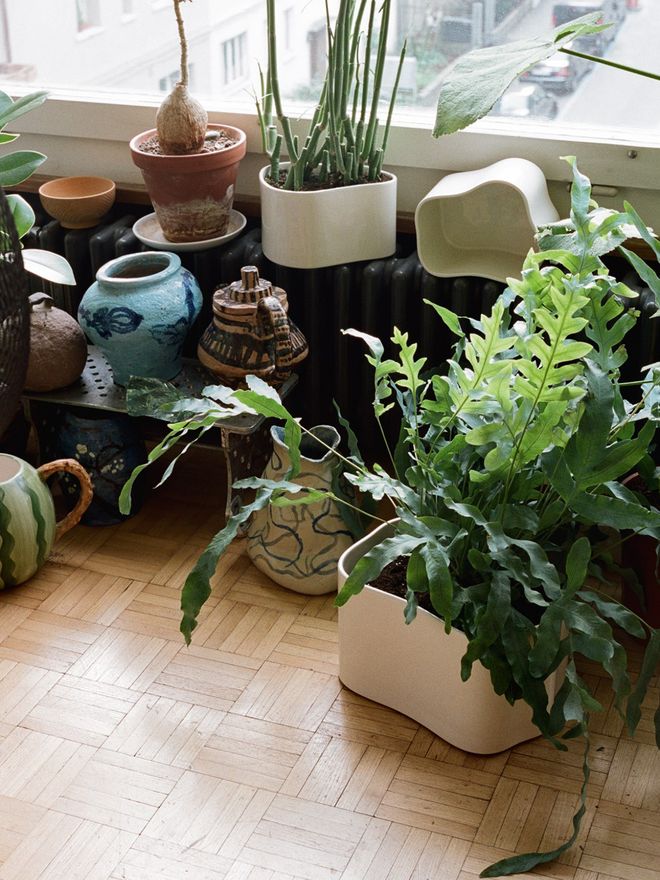 A combination of Artek's Riihitie pots and miscellaneous ceramic items.
