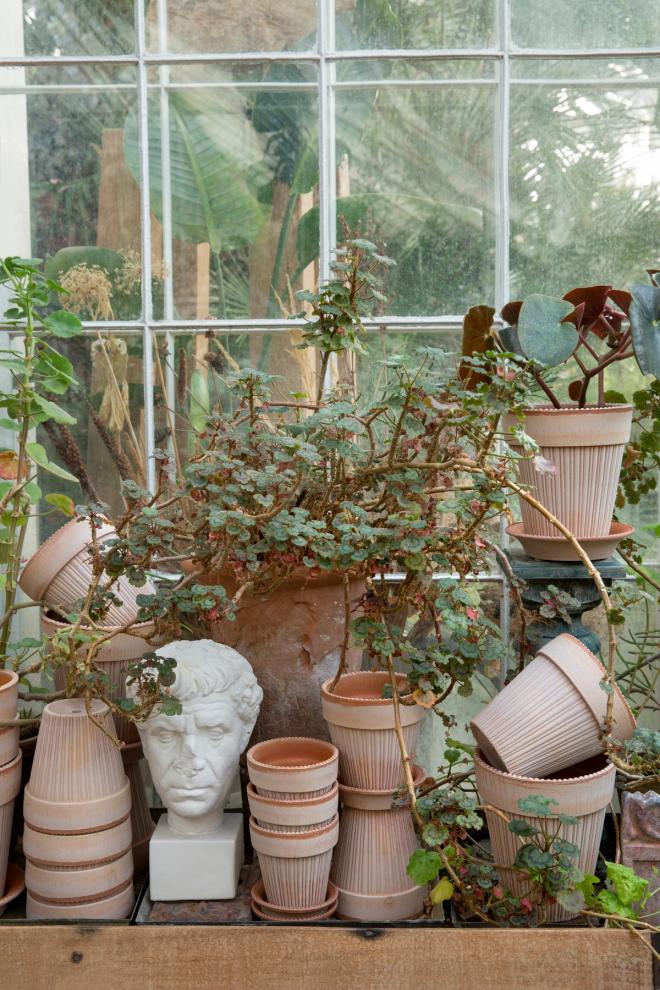 Flower pots, green plants, and a white statue head placed in front of the greenhouse window