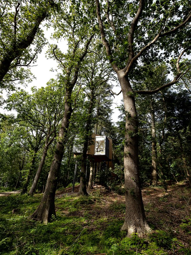 The Treetop Hotel Løvtag
