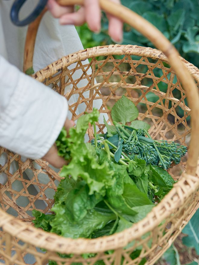 A detail of green salads in a basket