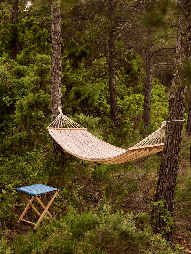  A hammock set up between two trees in the forest
