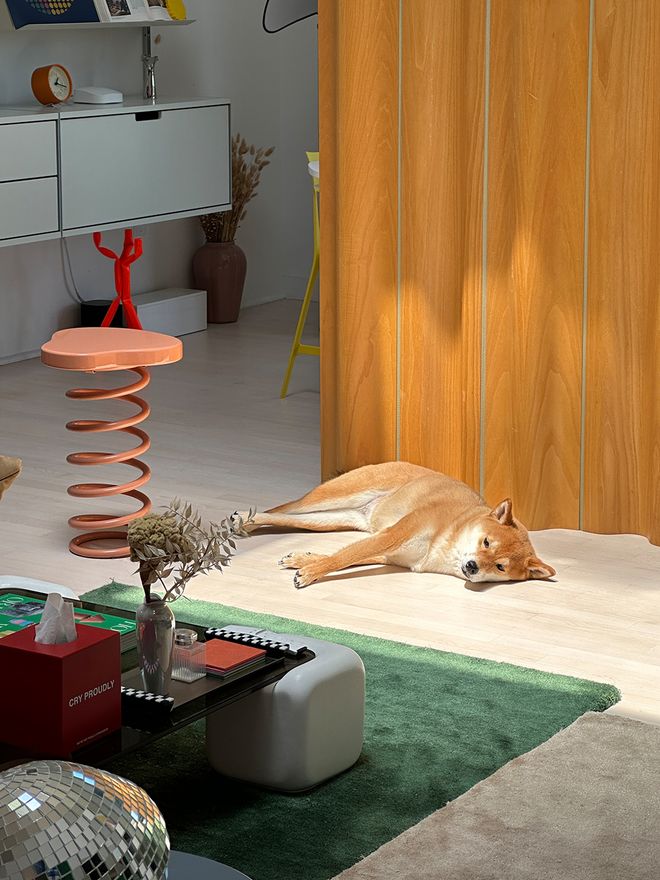Aden Wang’s eclectic home in San Francisco draws inspiration from the city’s modern vibe and its surrounding nature