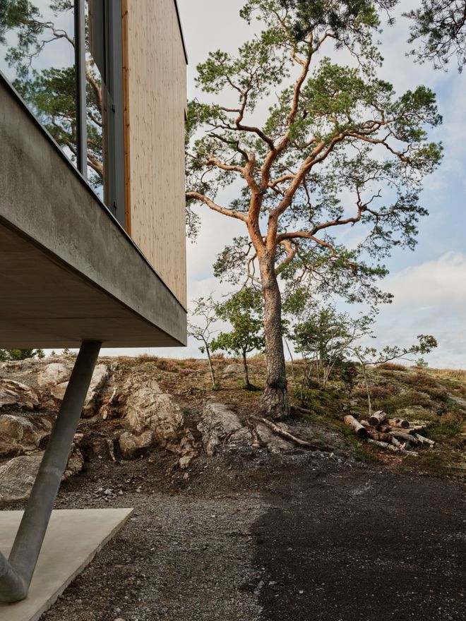 Pine Edge Villa: Where Swedish archipelago meets American modernism