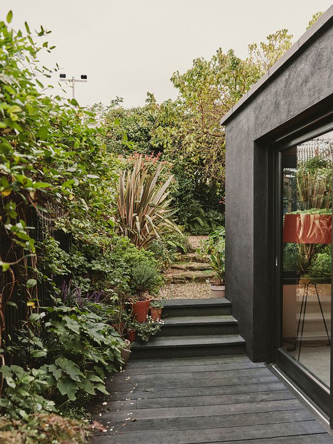 Connie Barton’s South London home feels like an urban jungle