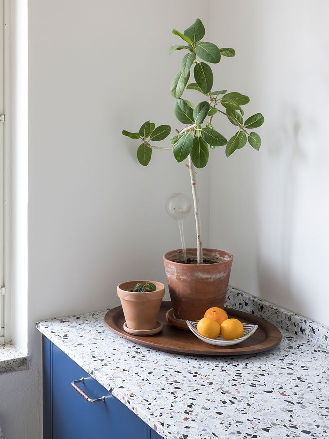 Terrazzo marble kitchen counter