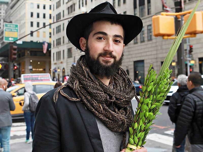 New York on foot: Fifth Avenue