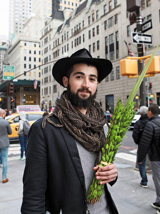 New York on foot: Fifth Avenue