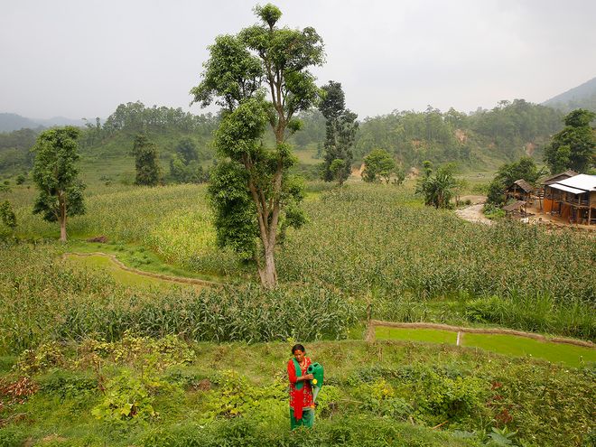 UN Women Nepal