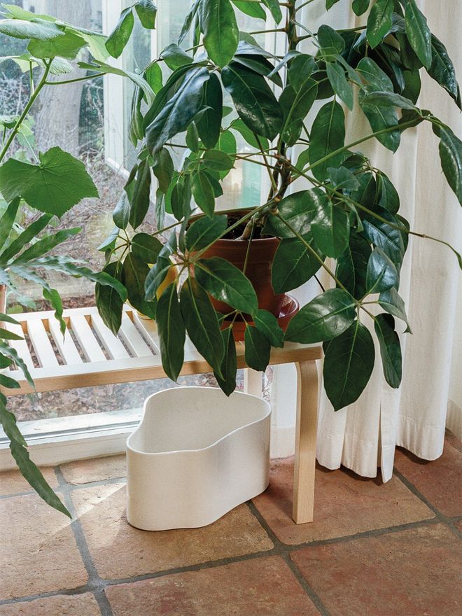 An image of Artek's Aalto bench 153A and Riihitie plant pot in front of a window, as part of the living room decor.