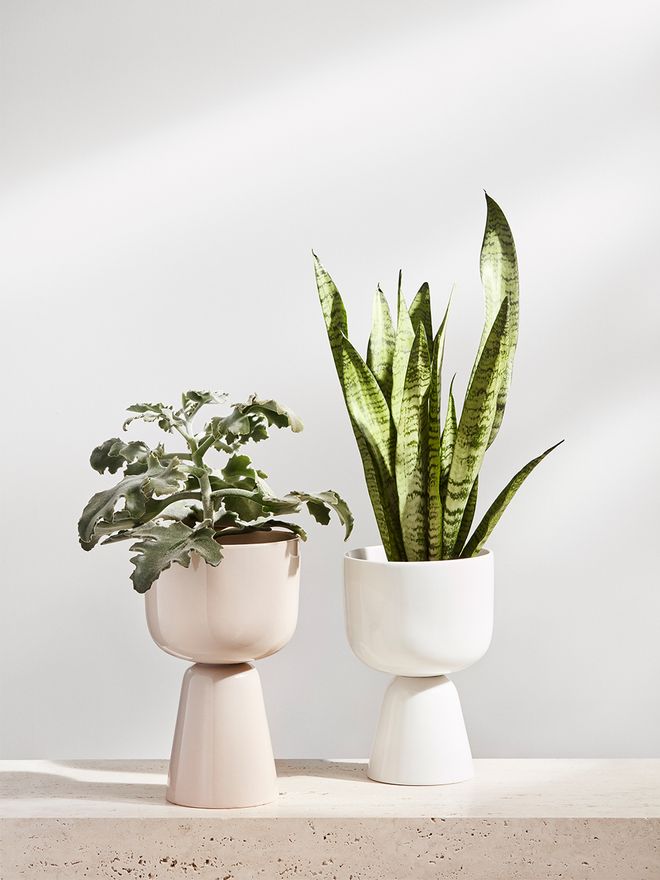 Iittala's Nappula pots in beige and white.