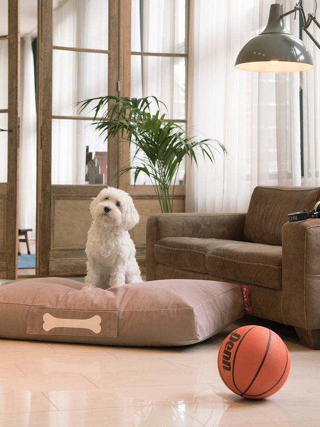 Fatboy Doggielounge
