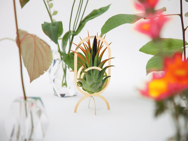 Fundamental Berlin Air Trophy plant stand