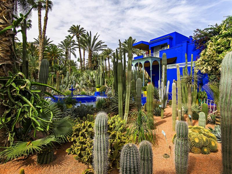 Mondo’s picks: 6 fantastic gardens