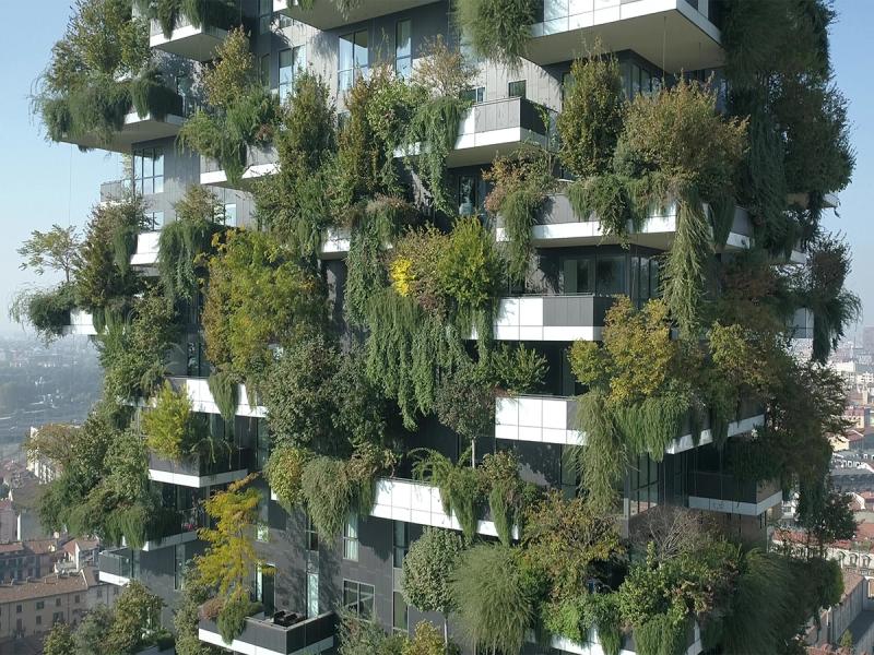 Garden Futures: Suunnittelua luonnon kanssa – uutuusnäyttely etsii vastauksia kasveilta