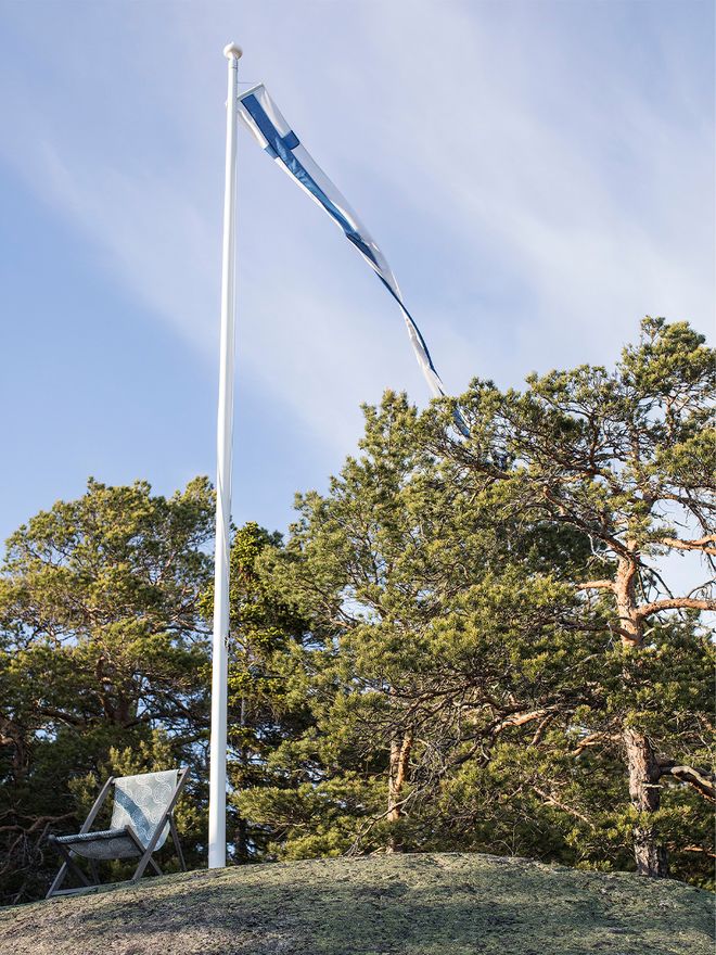 A high cliff with pine