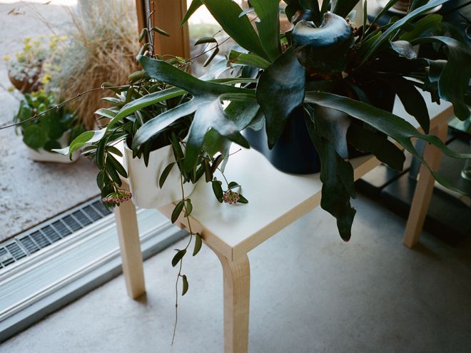 Artek spring arrivals: The return of foldable tables and the many shapes of benches