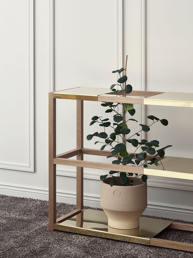 Adea The Botanic Shelf