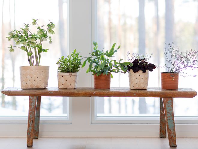 Verso Design Lastu herb basket