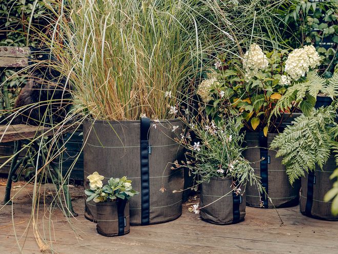 Bacsac Geotextile pot 10 L