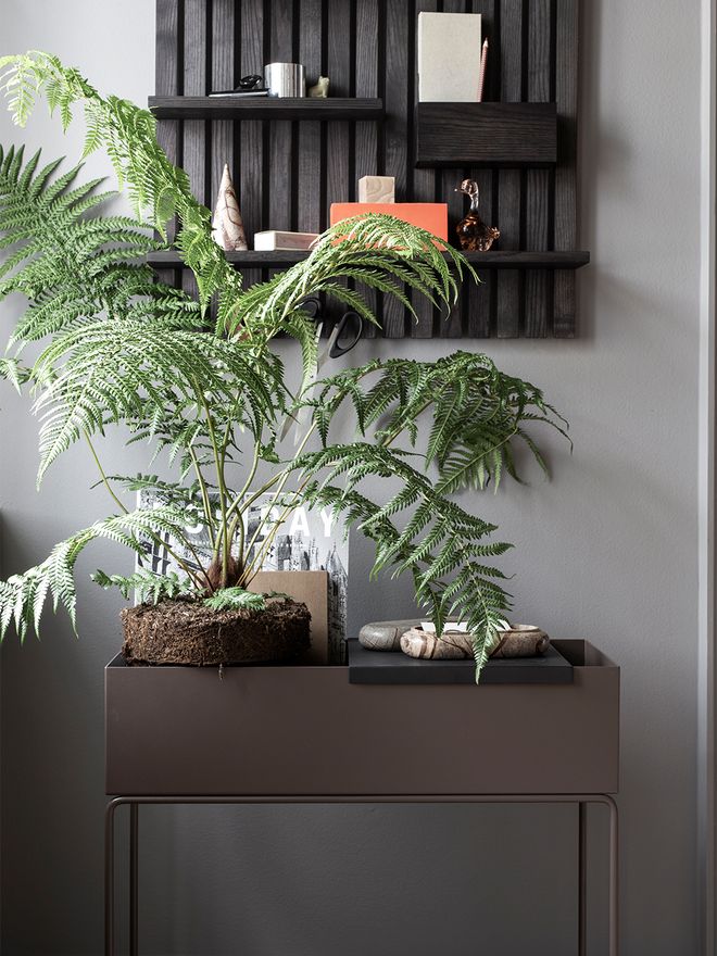 Ferm Living's Plant Box planter as a part of the decoration.