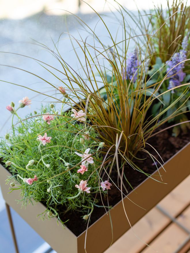 From barren to botanical: the updated showroom balcony now bathes in greenery