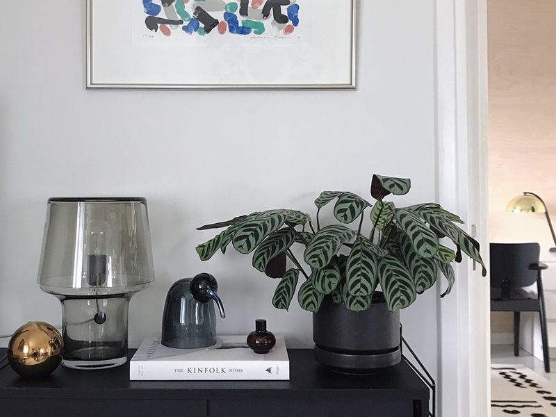 Arabia’s vintage flower pots are in huge demand – do you have these ceramic pots at home?