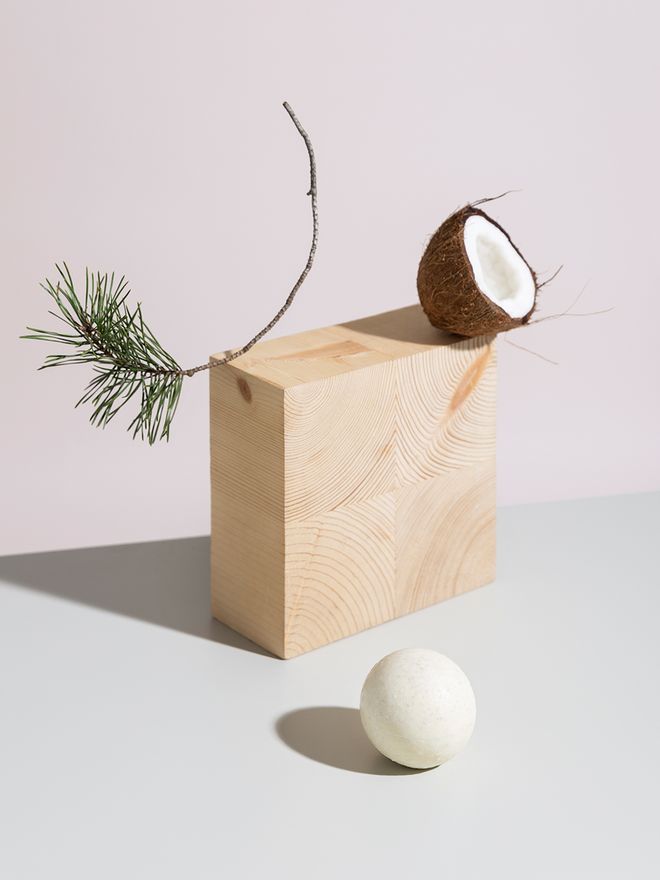 An image of the Hetkinen salt soap, a pine branch and a piece of coconut.