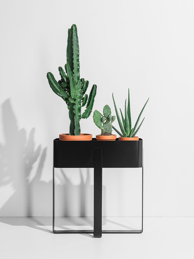 Edvin plant stand by Laura Väre
