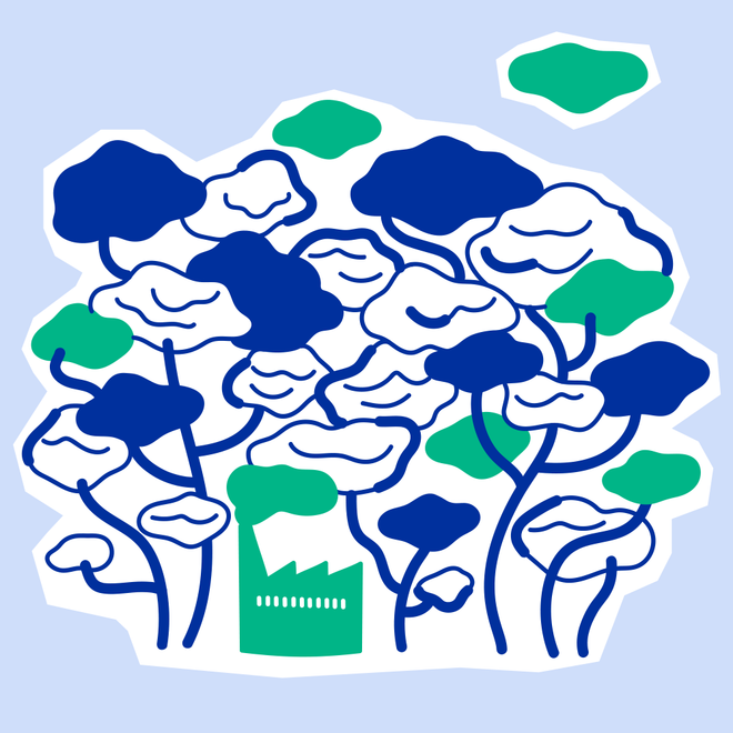 Product Sustainability Framework criteria