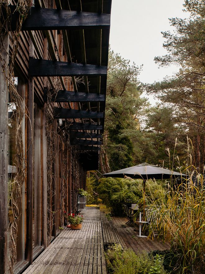 A terrace of Peter Erlandsson's house