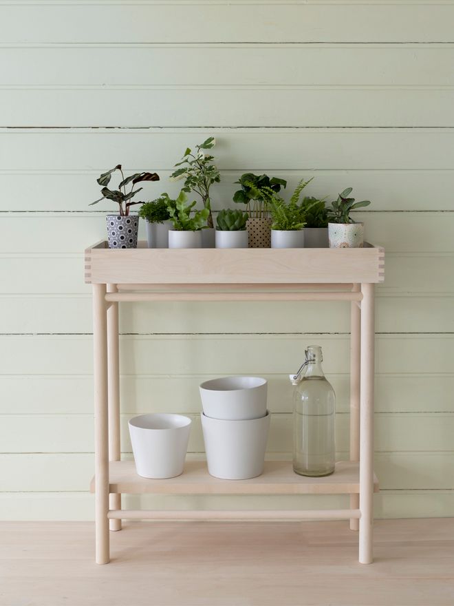 Verso Design Taimi Plant Tray
