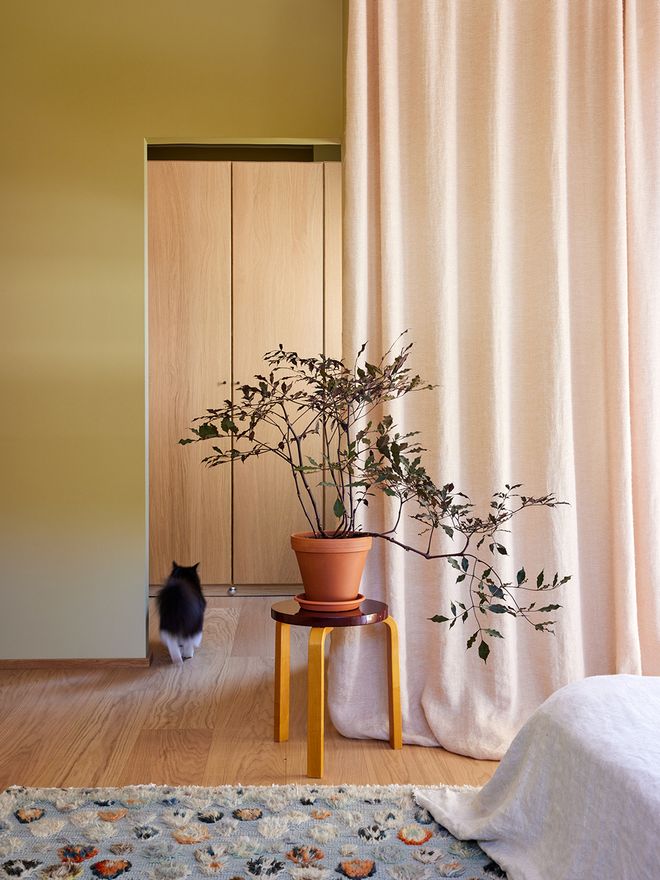 Cover Story Virginia interior paint