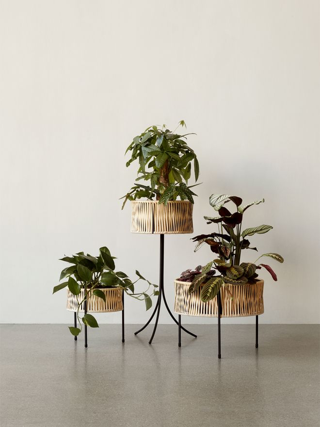 Menu Umanoff planters