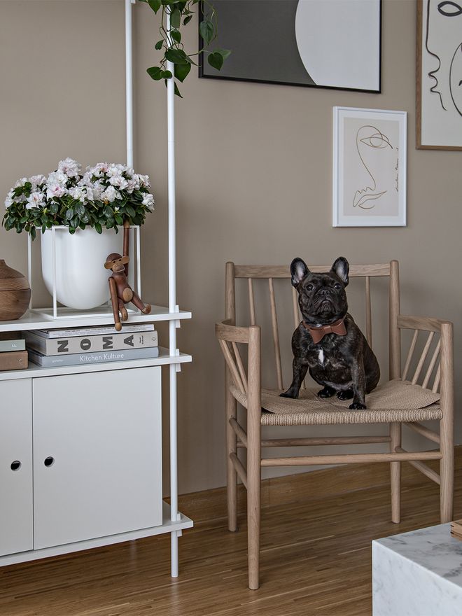 FDB Møbler J81 chair, oiled oak