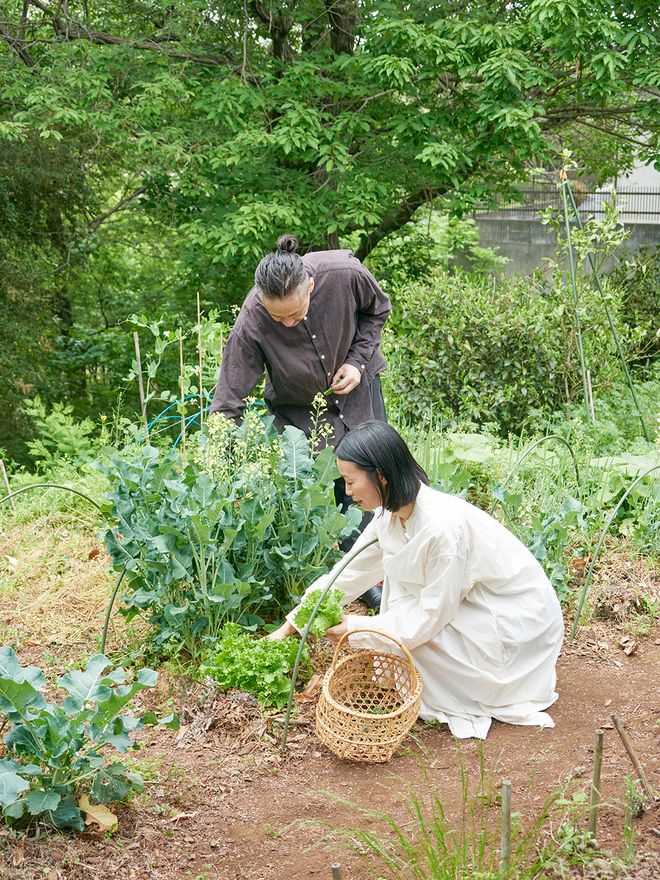 A couple harvesting