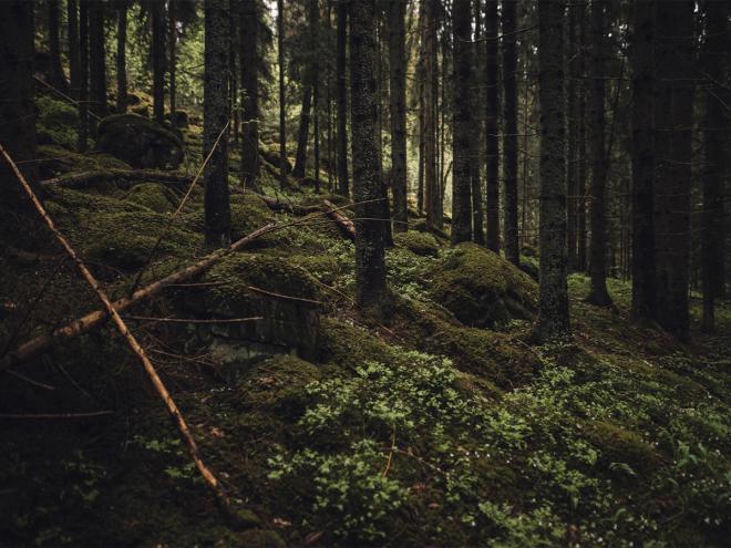 Finnish Design Shop Sustainability Strategy