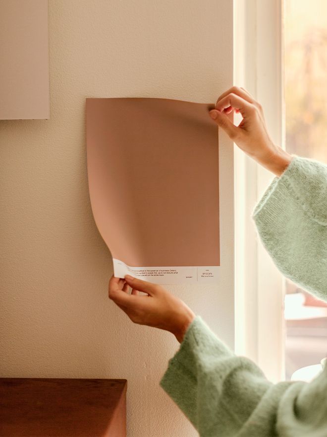 Cover Story interior paints