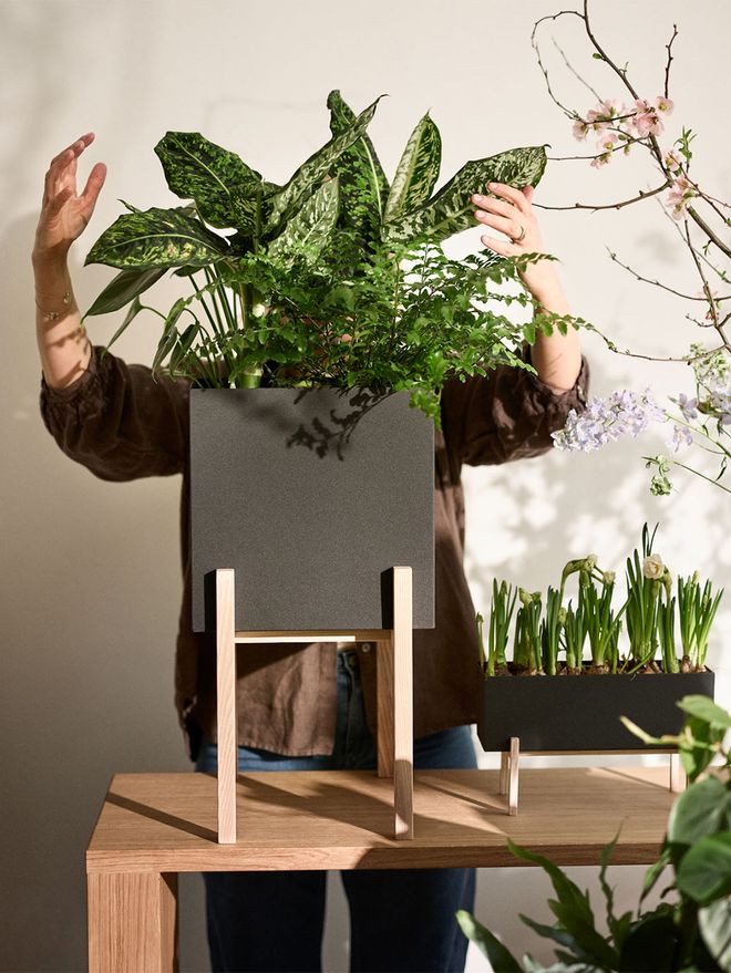 Design House Stockholm Botanic Pedestal planter