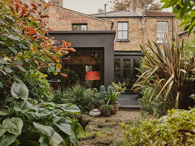 Connie Barton’s South London home feels like an urban jungle